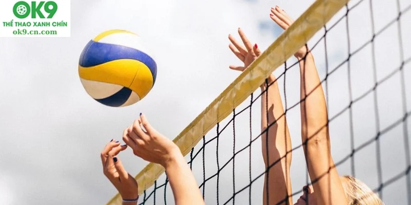 Các loại kèo trong bóng chuyền ok9.cn.com thường gặp