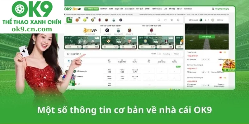 Thương hiệu ok9 2 ok9 - Các Yếu Tố Chính Góp Phần Vào Sự Thành Công Bền Vững